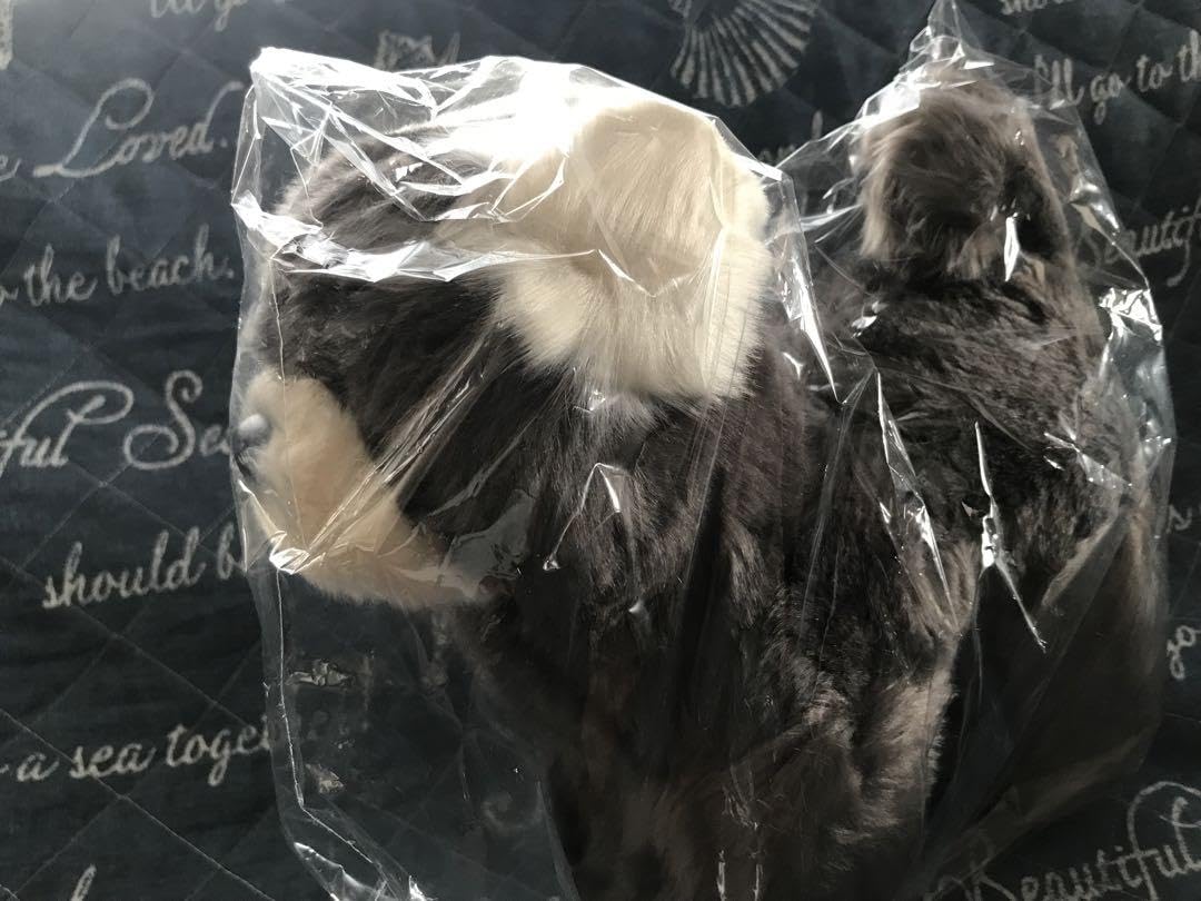 Amazon.co.jp: （ ）トヨタ シエンタ犬 ちょうじゅろう君